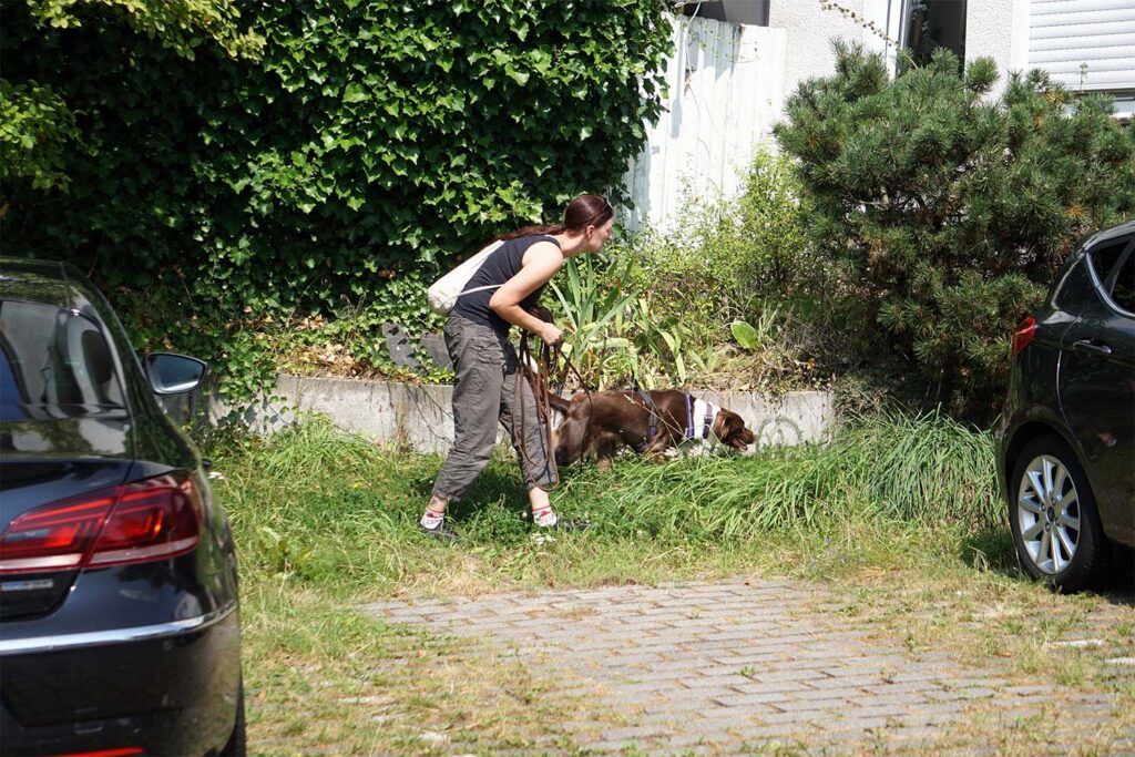 Fährtensuche in Cappel