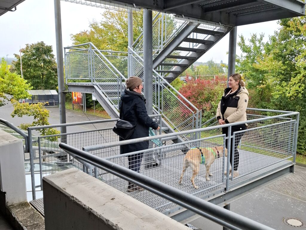 Mantrailing auf der Treppe