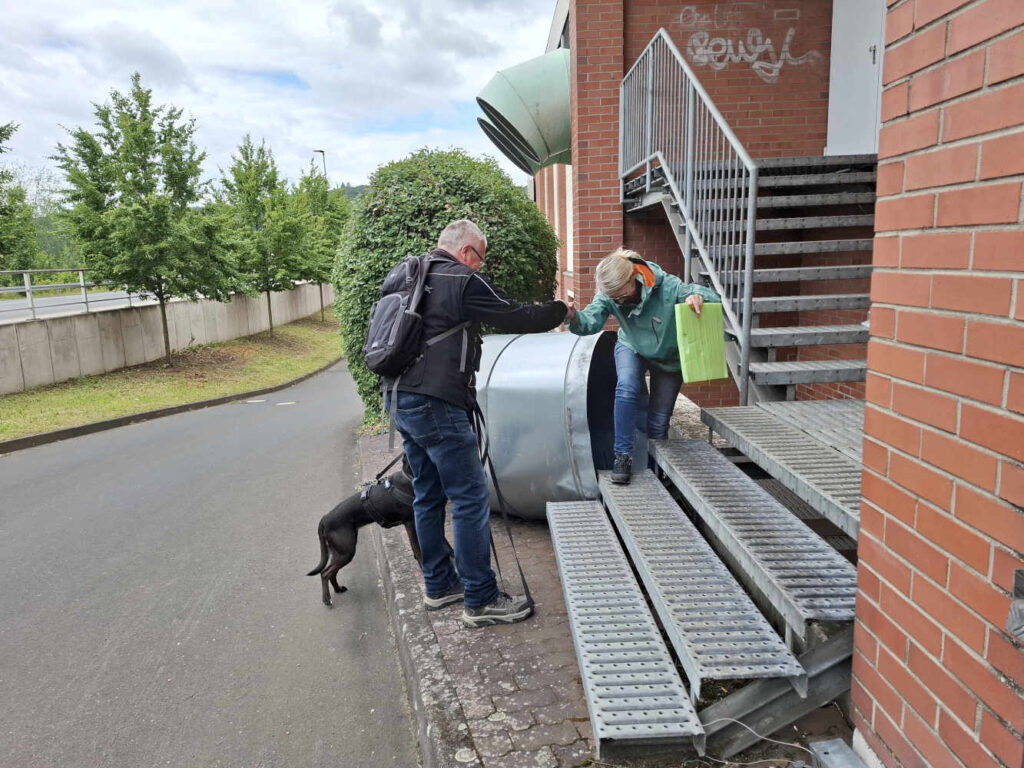 spannendes Mantrailing Versteck