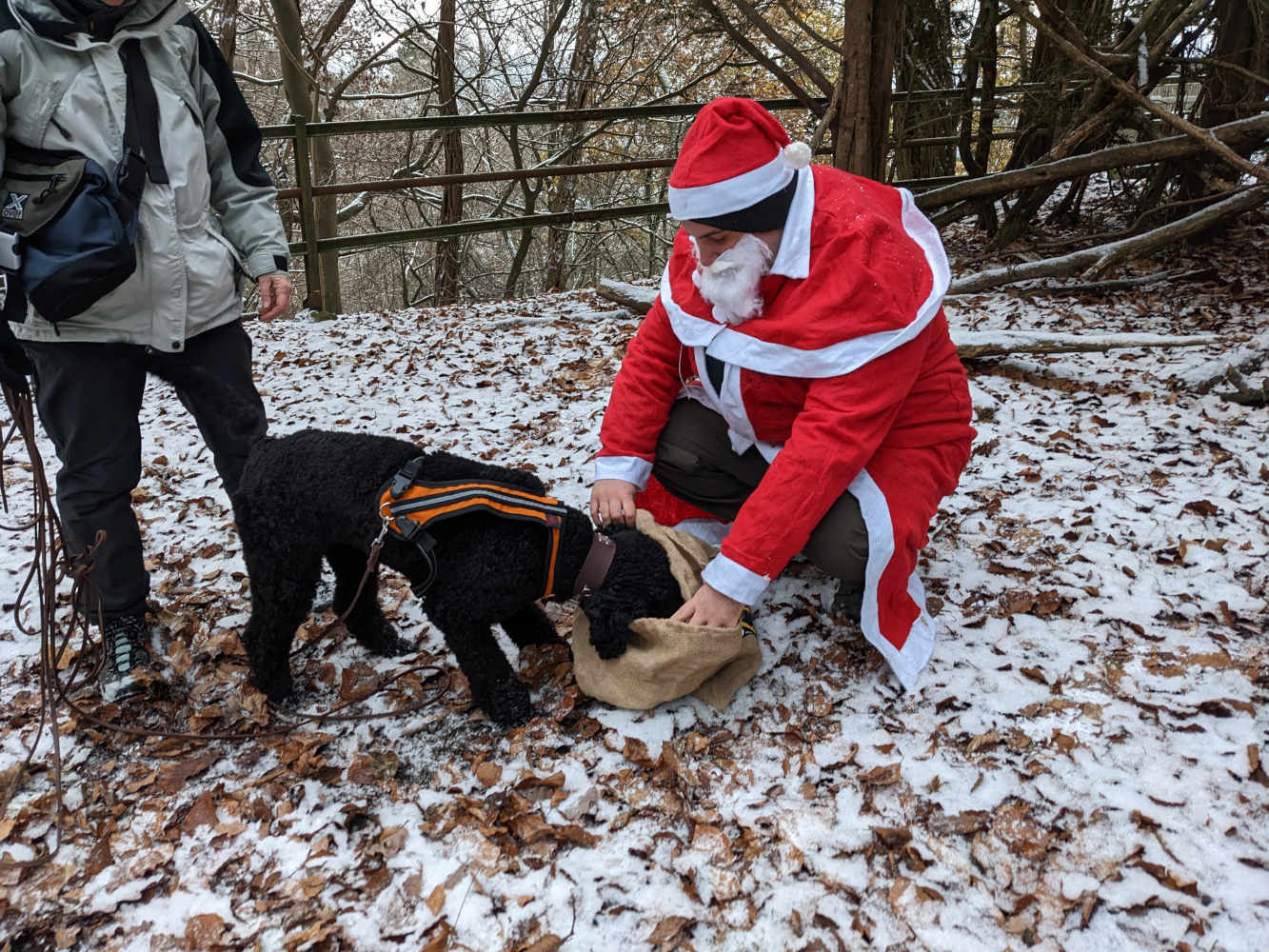 Weihnachts Mantrail